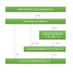 中概股回归路径全解析(中篇)——新三板通道 9 中概股回归路径全解析(中篇)——新三板通道 - 上海私募基金律师-PE法律桥:上海杨春宝一级律师