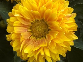 “九民”后,投资人应当如何对赌?