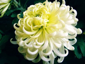 一文读懂2019版负面清单