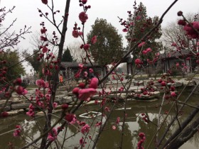 私募基金行业法律动态(2019年12月/总第23期)