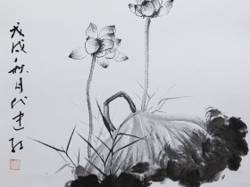 私募基金行业法律动态(2024年5月/总第75期)