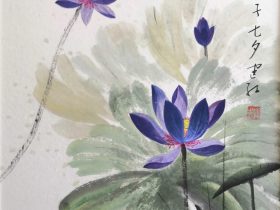 杨春宝律师团队:私募基金行业法律动态(2025年6月/总第88期)